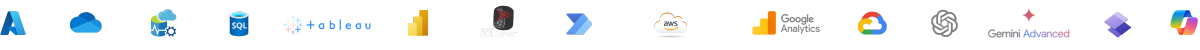 "NileBI.com-Technology-Partners"